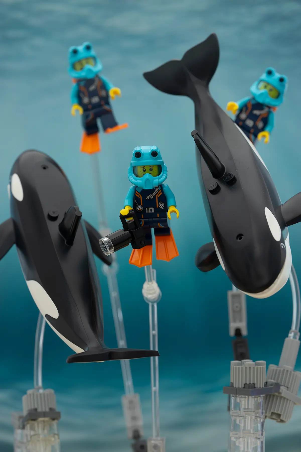 LEGO scuba divers and orcas are displayed against a watery blue backdrop using visible clear plastic stands for support. The divers wear bright orange flippers and blue helmets, while the orcas swim beside them in a staged ocean scene.